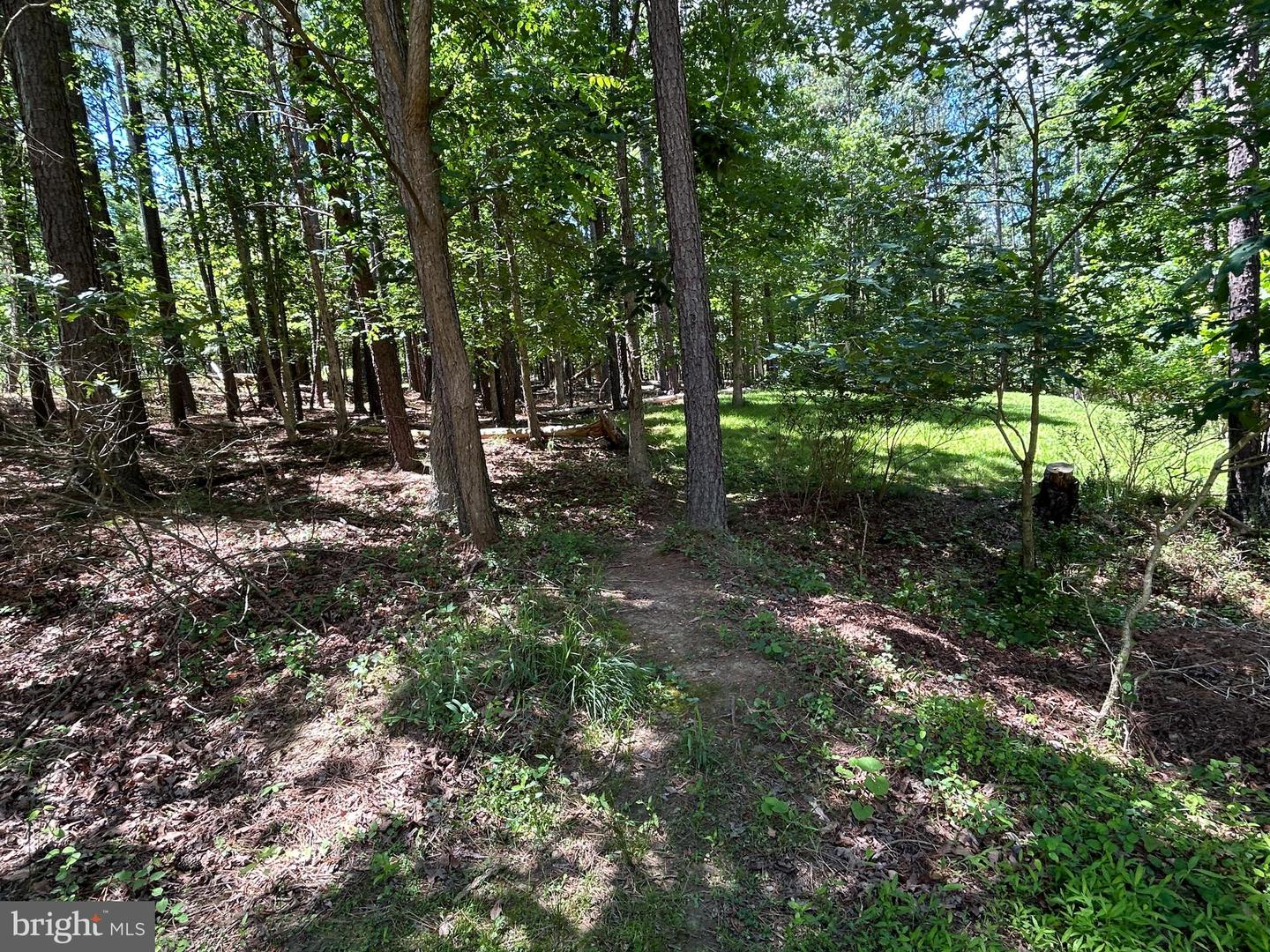 76 RED BURKE CT, FRONT ROYAL, Virginia 22630, 3 Bedrooms Bedrooms, ,2 BathroomsBathrooms,Residential,For sale,76 RED BURKE CT,VAWR2011286 MLS # VAWR2011286