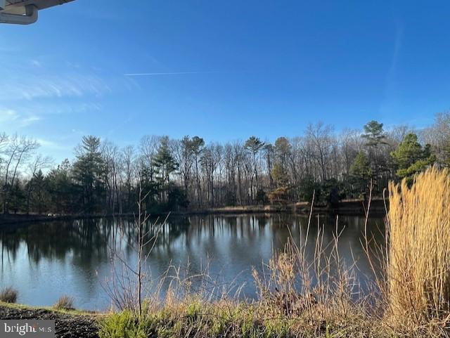 10472 GEORGETOWN DR, SPOTSYLVANIA, Virginia 22553, ,Land,For sale,10472 GEORGETOWN DR,VASP2033956 MLS # VASP2033956