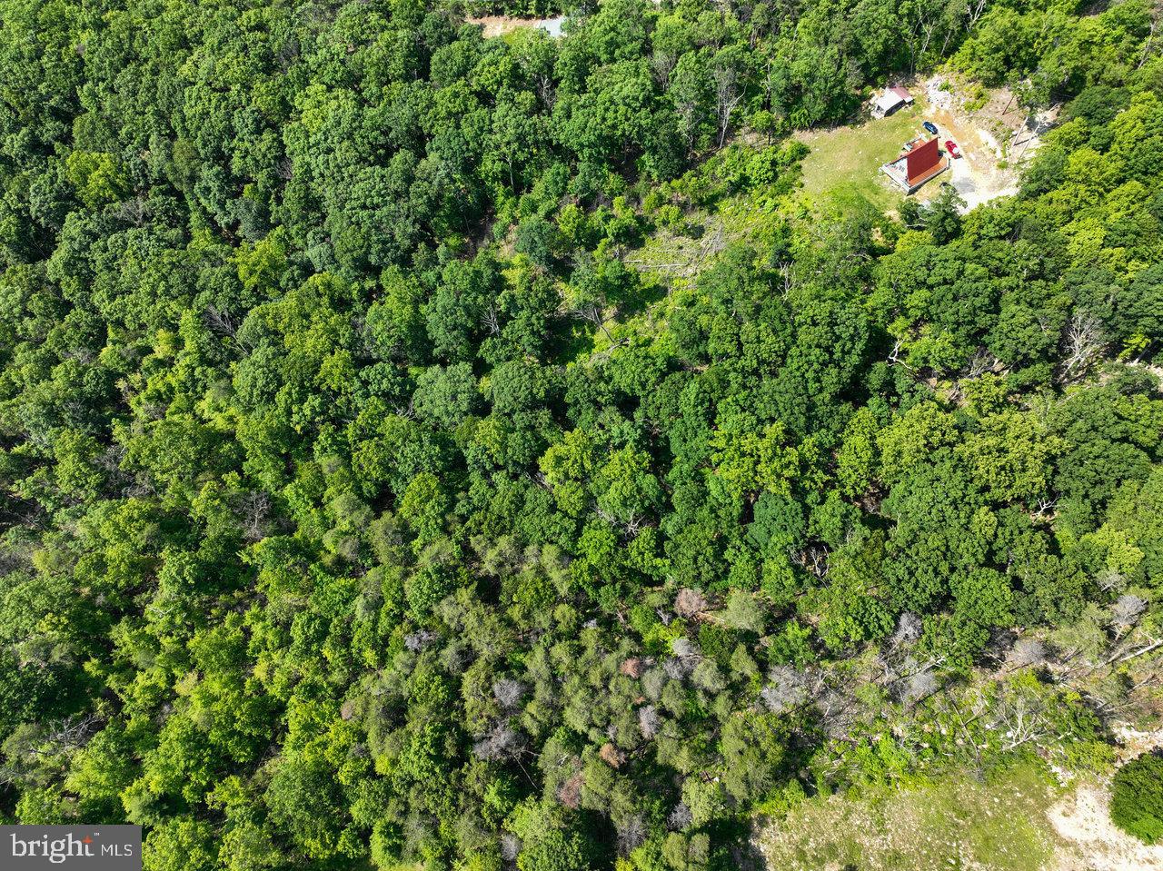 0 HIDDEN ROAD, LURAY, Virginia 22835, ,Land,For sale,0 HIDDEN ROAD,VAPA2004990 MLS # VAPA2004990
