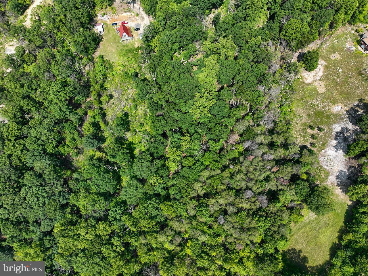 0 HIDDEN ROAD, LURAY, Virginia 22835, ,Land,For sale,0 HIDDEN ROAD,VAPA2004990 MLS # VAPA2004990