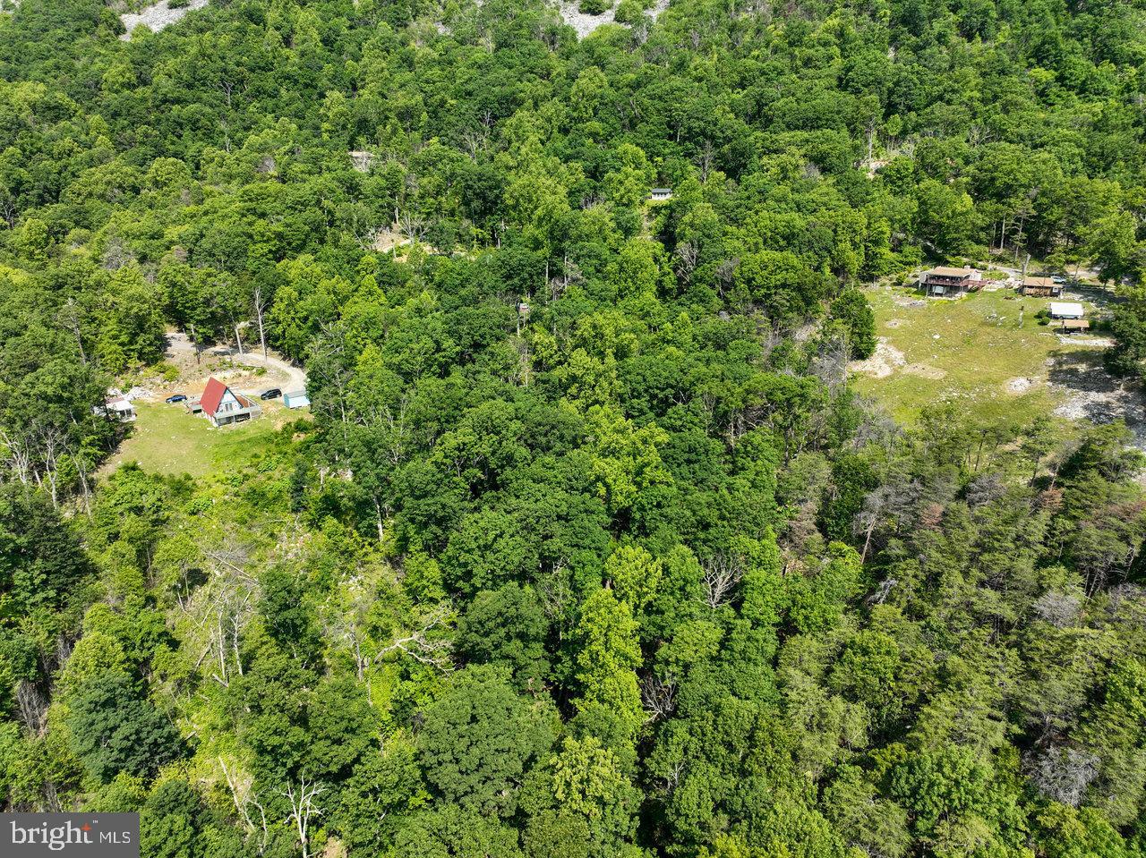 0 HIDDEN ROAD, LURAY, Virginia 22835, ,Land,For sale,0 HIDDEN ROAD,VAPA2004990 MLS # VAPA2004990