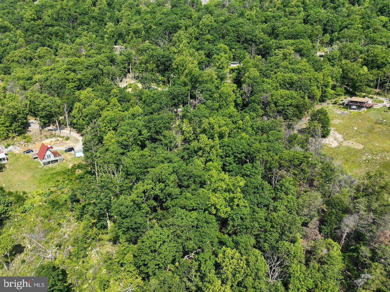 0 HIDDEN ROAD, LURAY, Virginia 22835, ,Land,For sale,0 HIDDEN ROAD,VAPA2004990 MLS # VAPA2004990