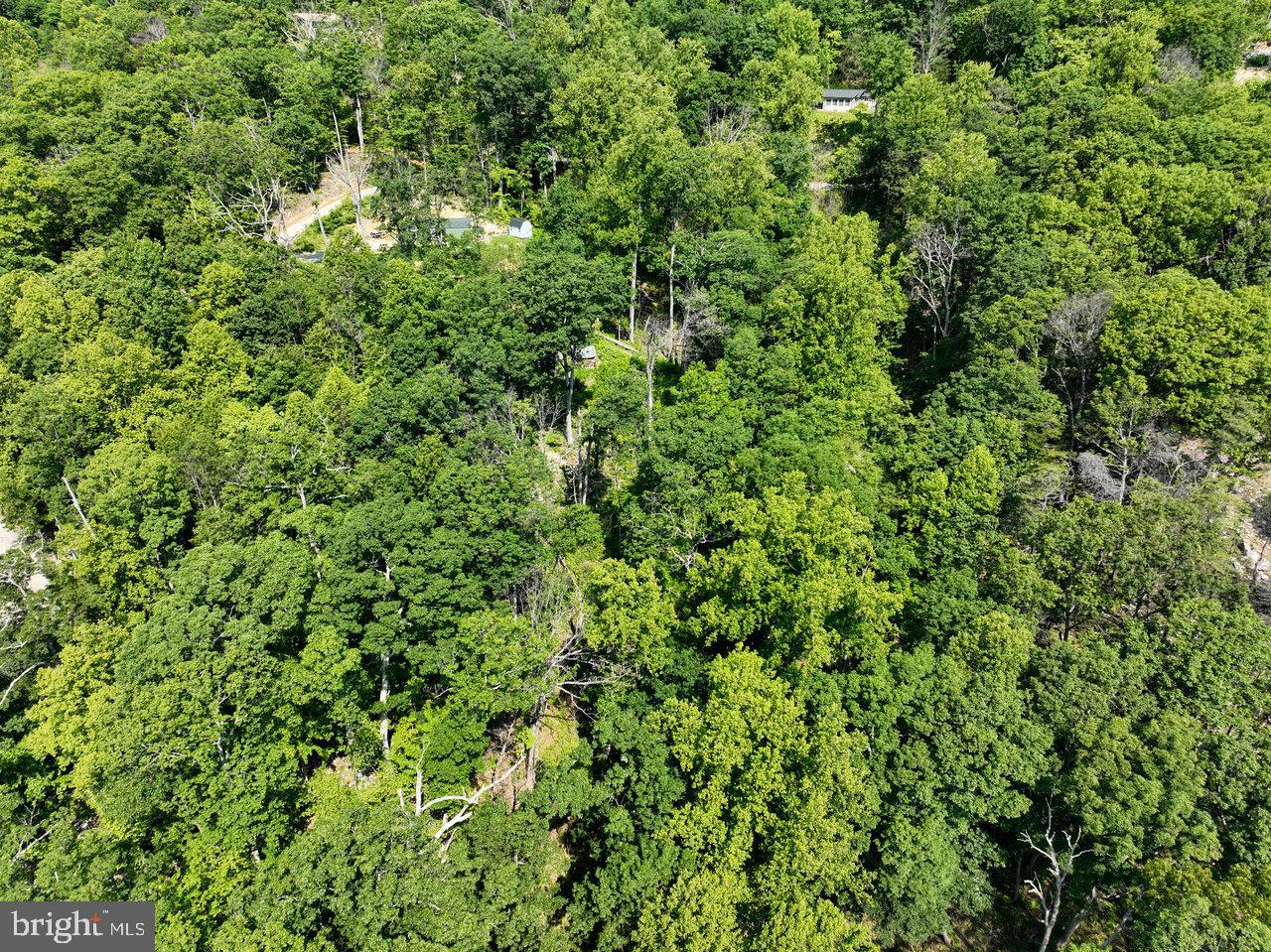 0 HIDDEN ROAD, LURAY, Virginia 22835, ,Land,For sale,0 HIDDEN ROAD,VAPA2004990 MLS # VAPA2004990
