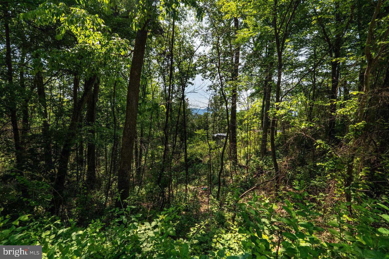 0 HIDDEN ROAD, LURAY, Virginia 22835, ,Land,For sale,0 HIDDEN ROAD,VAPA2004990 MLS # VAPA2004990