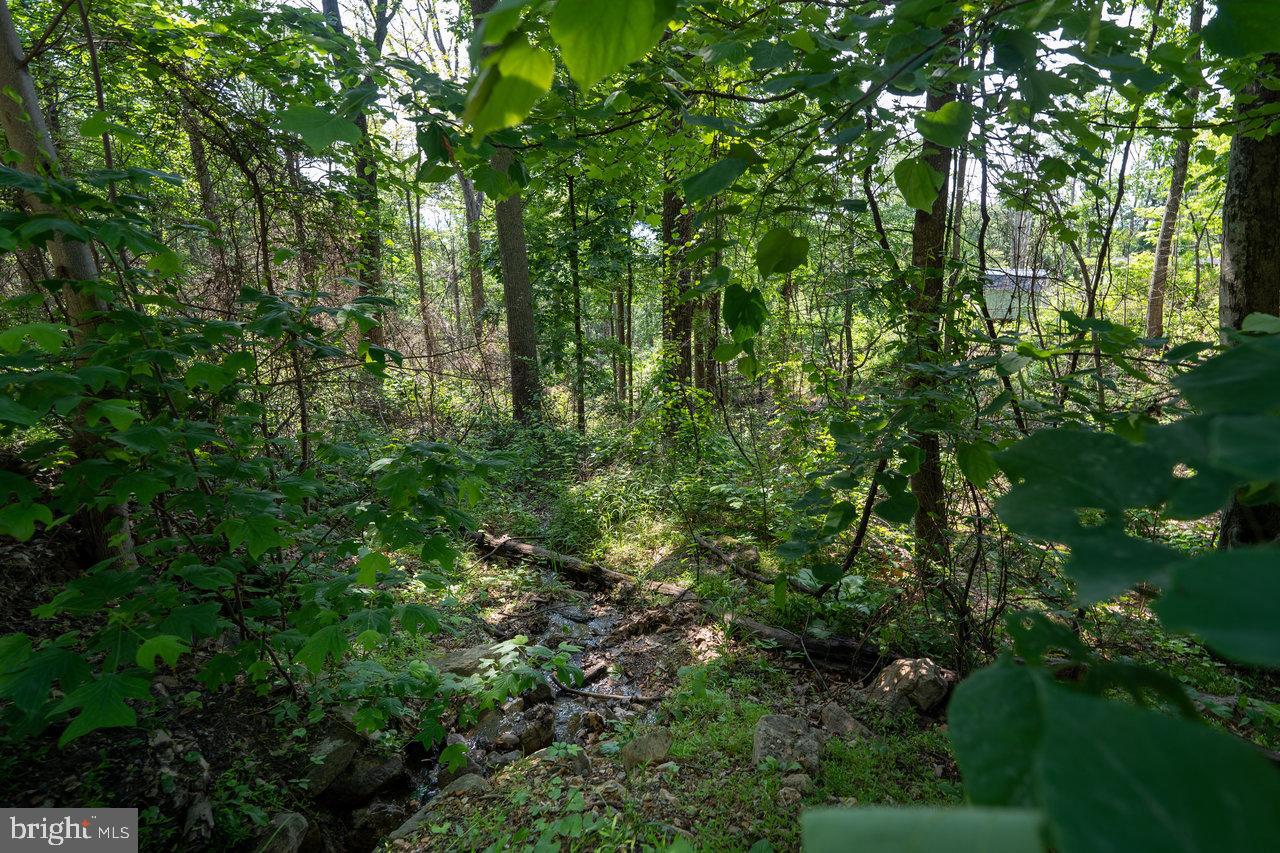 0 HIDDEN ROAD, LURAY, Virginia 22835, ,Land,For sale,0 HIDDEN ROAD,VAPA2004990 MLS # VAPA2004990