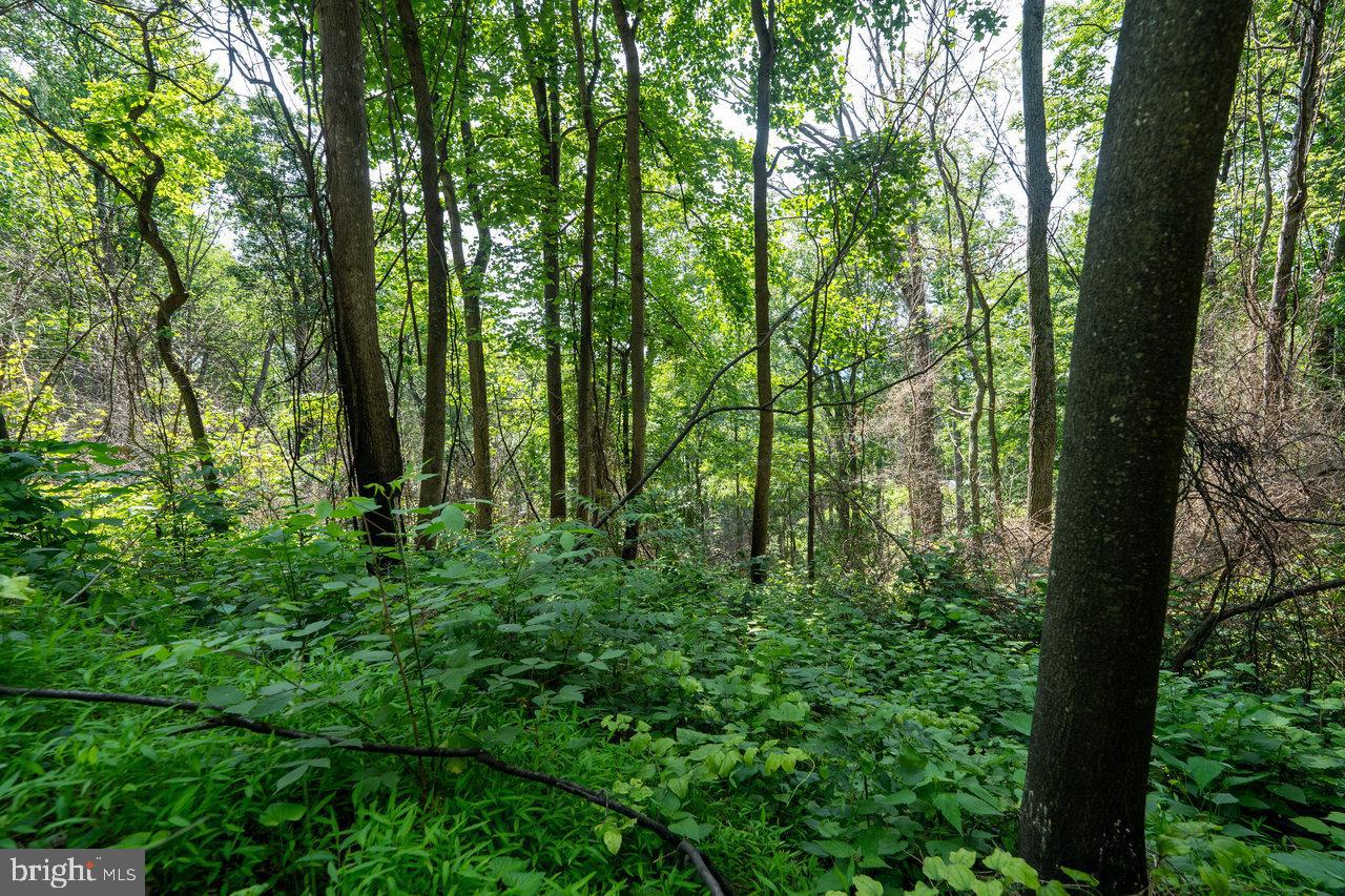 0 HIDDEN ROAD, LURAY, Virginia 22835, ,Land,For sale,0 HIDDEN ROAD,VAPA2004990 MLS # VAPA2004990