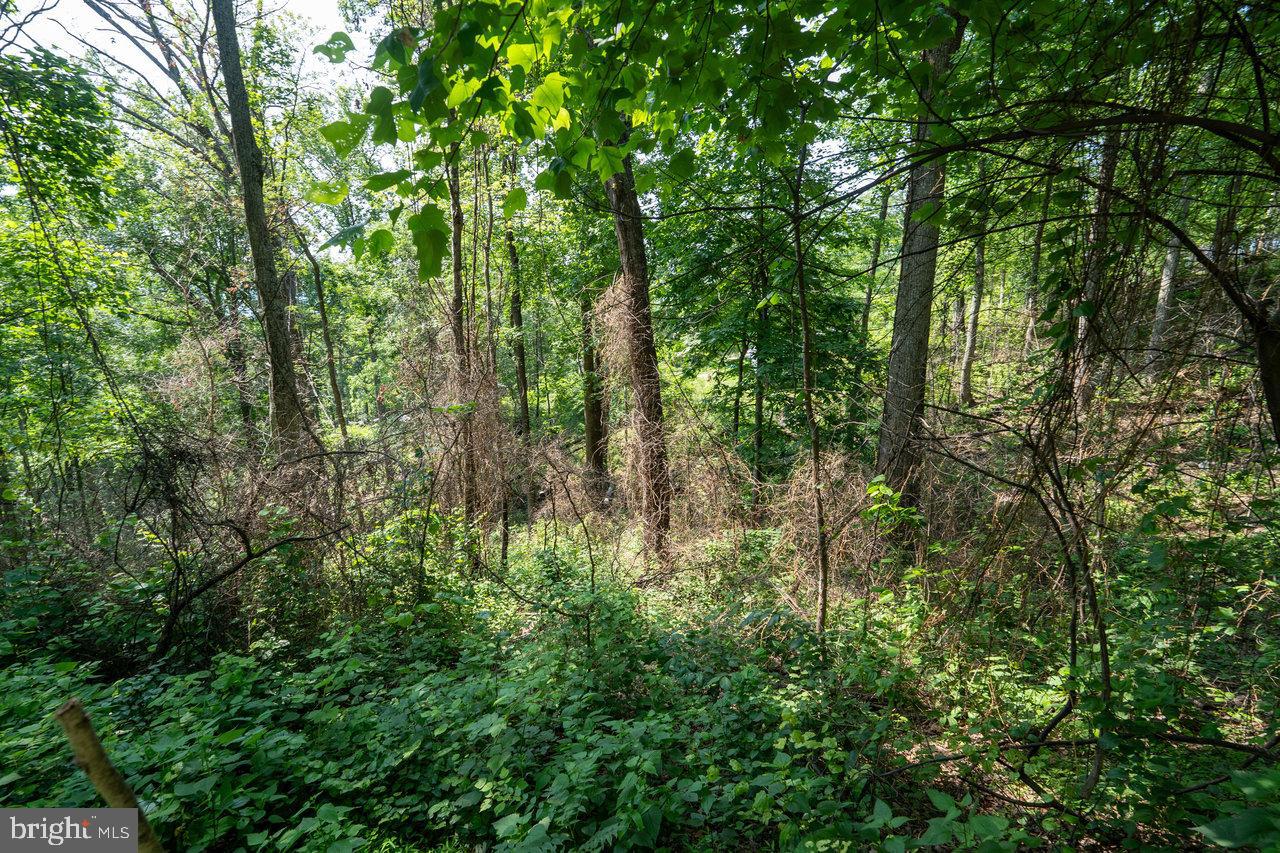 0 HIDDEN ROAD, LURAY, Virginia 22835, ,Land,For sale,0 HIDDEN ROAD,VAPA2004990 MLS # VAPA2004990