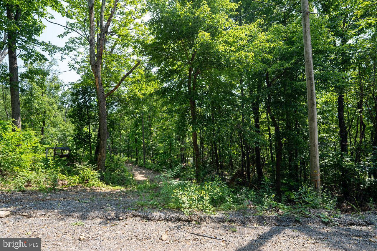 0 HIDDEN ROAD, LURAY, Virginia 22835, ,Land,For sale,0 HIDDEN ROAD,VAPA2004990 MLS # VAPA2004990