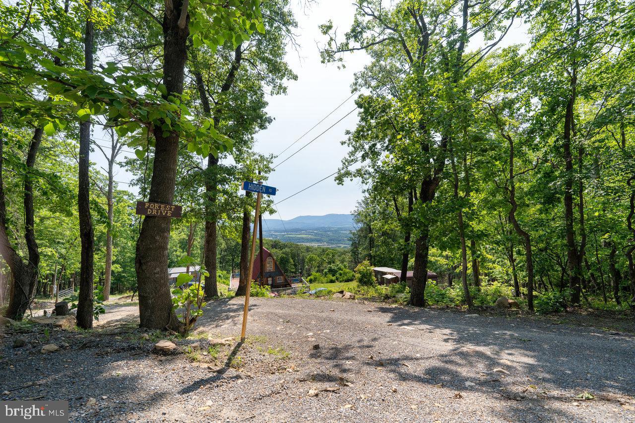 0 HIDDEN ROAD, LURAY, Virginia 22835, ,Land,For sale,0 HIDDEN ROAD,VAPA2004990 MLS # VAPA2004990