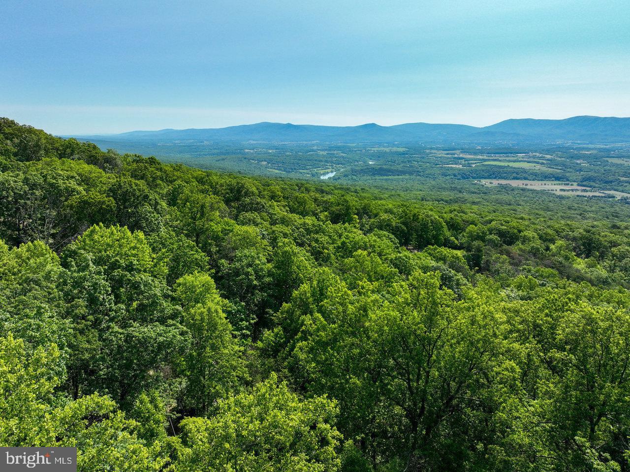 0 HIDDEN ROAD, LURAY, Virginia 22835, ,Land,For sale,0 HIDDEN ROAD,VAPA2004990 MLS # VAPA2004990