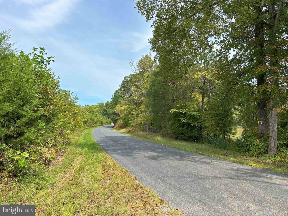 PENLAN ROAD (RT. 671) (TRACT: PENDLAND-3), ARVONIA, Virginia 23004, ,Farm,For sale,PENLAN ROAD (RT. 671) (TRACT: PENDLAND-3),VABH2000180 MLS # VABH2000180