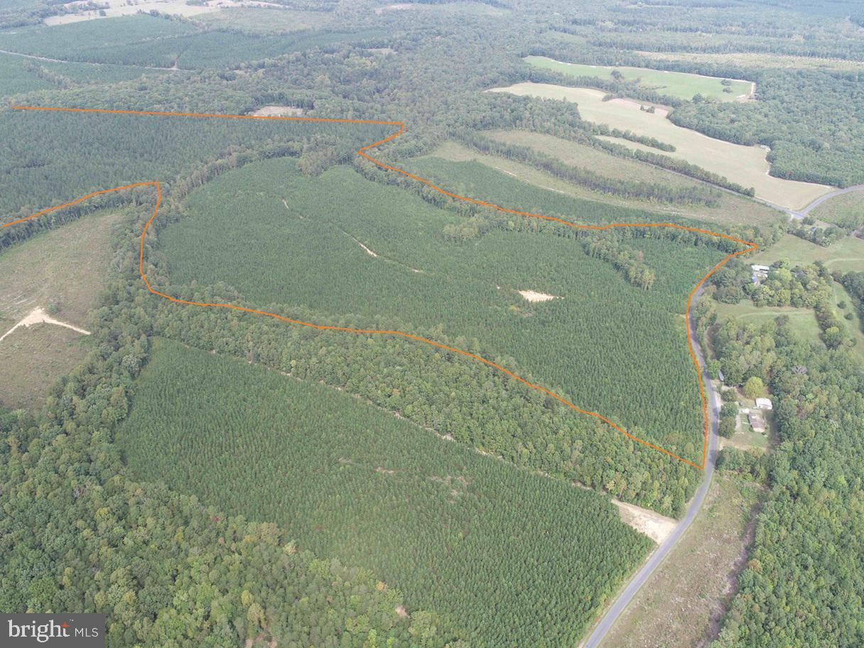 PENLAN ROAD (RT. 671) (TRACT: PENDLAND-3), ARVONIA, Virginia 23004, ,Farm,For sale,PENLAN ROAD (RT. 671) (TRACT: PENDLAND-3),VABH2000180 MLS # VABH2000180