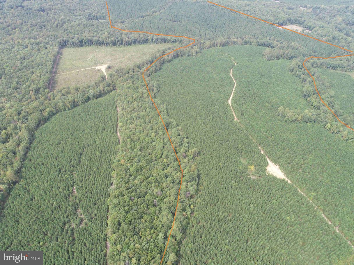 PENLAN ROAD (RT. 671) (TRACT: PENDLAND-3), ARVONIA, Virginia 23004, ,Farm,For sale,PENLAN ROAD (RT. 671) (TRACT: PENDLAND-3),VABH2000180 MLS # VABH2000180