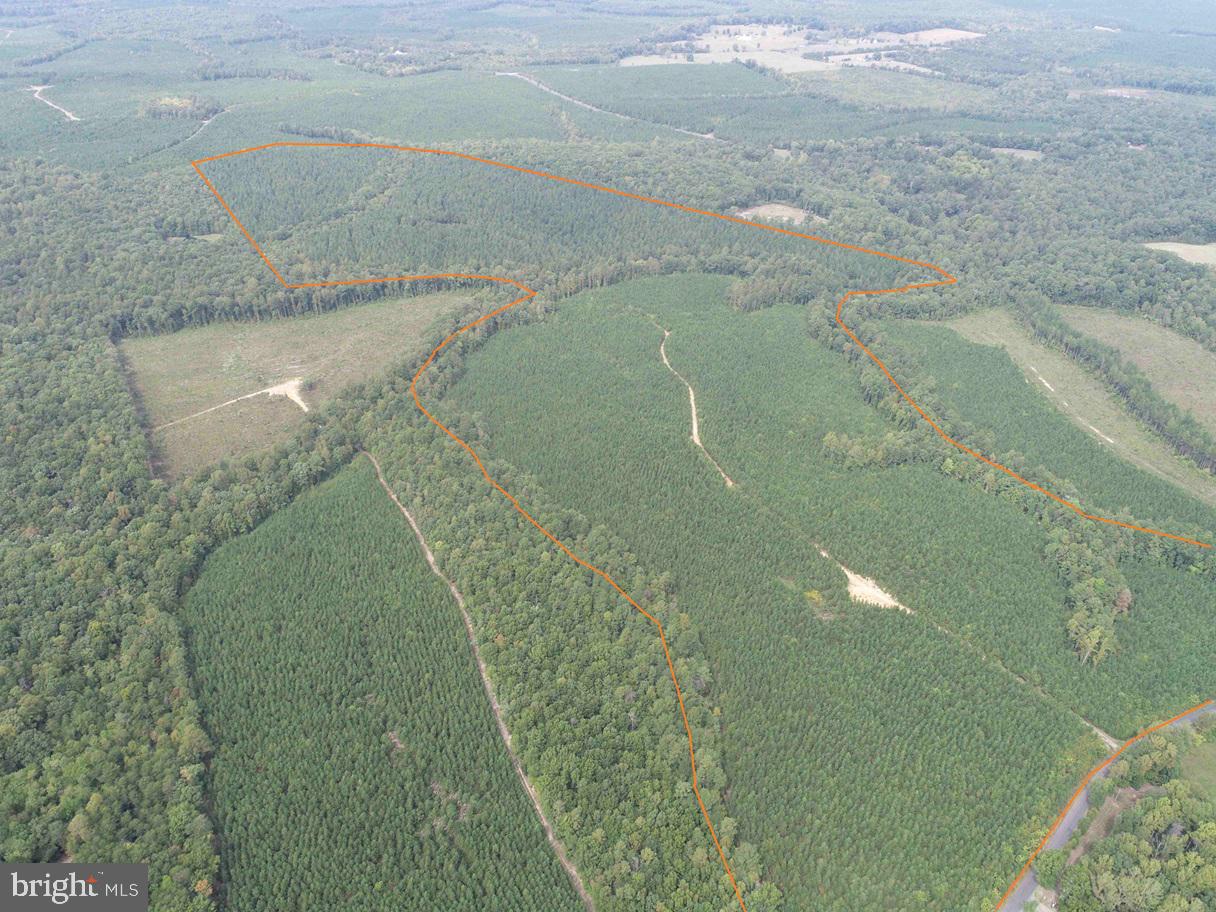 PENLAN ROAD (RT. 671) (TRACT: PENDLAND-3), ARVONIA, Virginia 23004, ,Farm,For sale,PENLAN ROAD (RT. 671) (TRACT: PENDLAND-3),VABH2000180 MLS # VABH2000180
