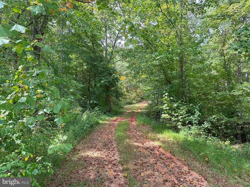 PENLAN ROAD (RT. 671) (TRACT: PENDLAND-3), ARVONIA, Virginia 23004, ,Farm,For sale,PENLAN ROAD (RT. 671) (TRACT: PENDLAND-3),VABH2000180 MLS # VABH2000180