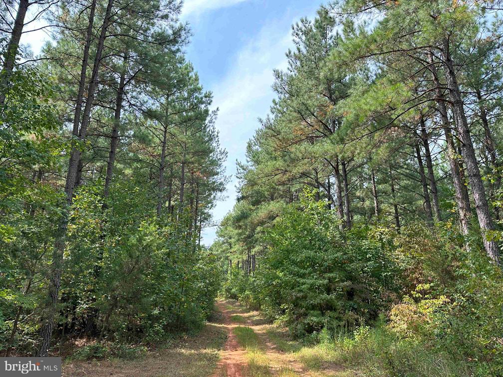 PENLAN ROAD (RT. 671) (TRACT: PENDLAND-3), ARVONIA, Virginia 23004, ,Farm,For sale,PENLAN ROAD (RT. 671) (TRACT: PENDLAND-3),VABH2000180 MLS # VABH2000180