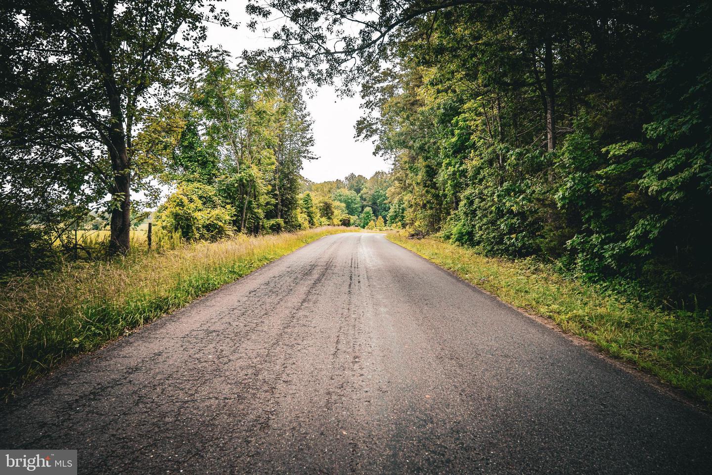 0 LILLARDS FORD RD, MADISON, Virginia 22727, ,Land,For sale,0 LILLARDS FORD RD,VAMA2002294 MLS # VAMA2002294