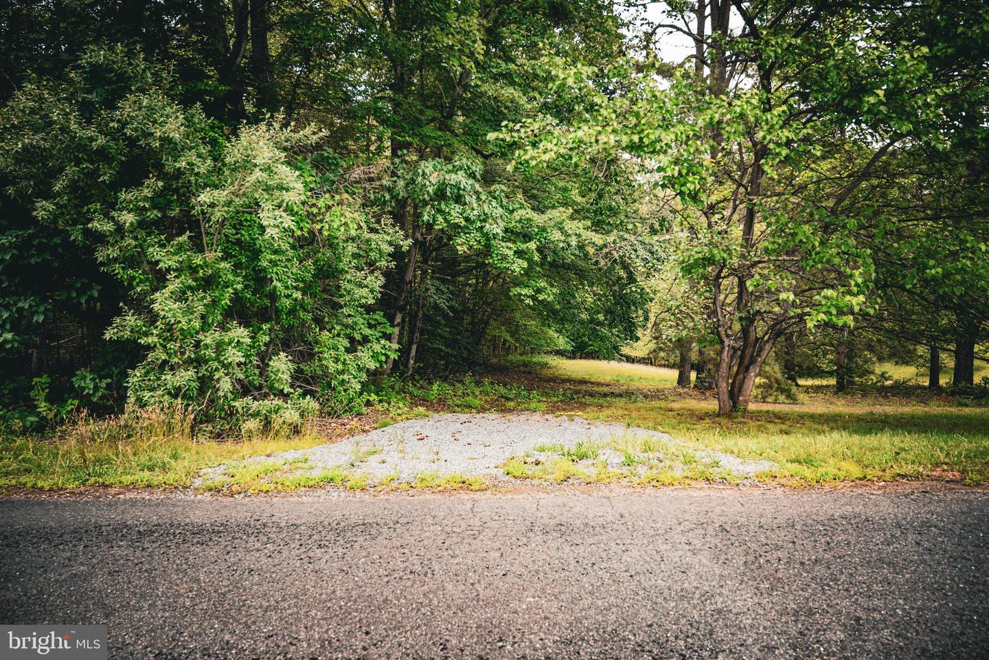 0 LILLARDS FORD RD, MADISON, Virginia 22727, ,Land,For sale,0 LILLARDS FORD RD,VAMA2002294 MLS # VAMA2002294