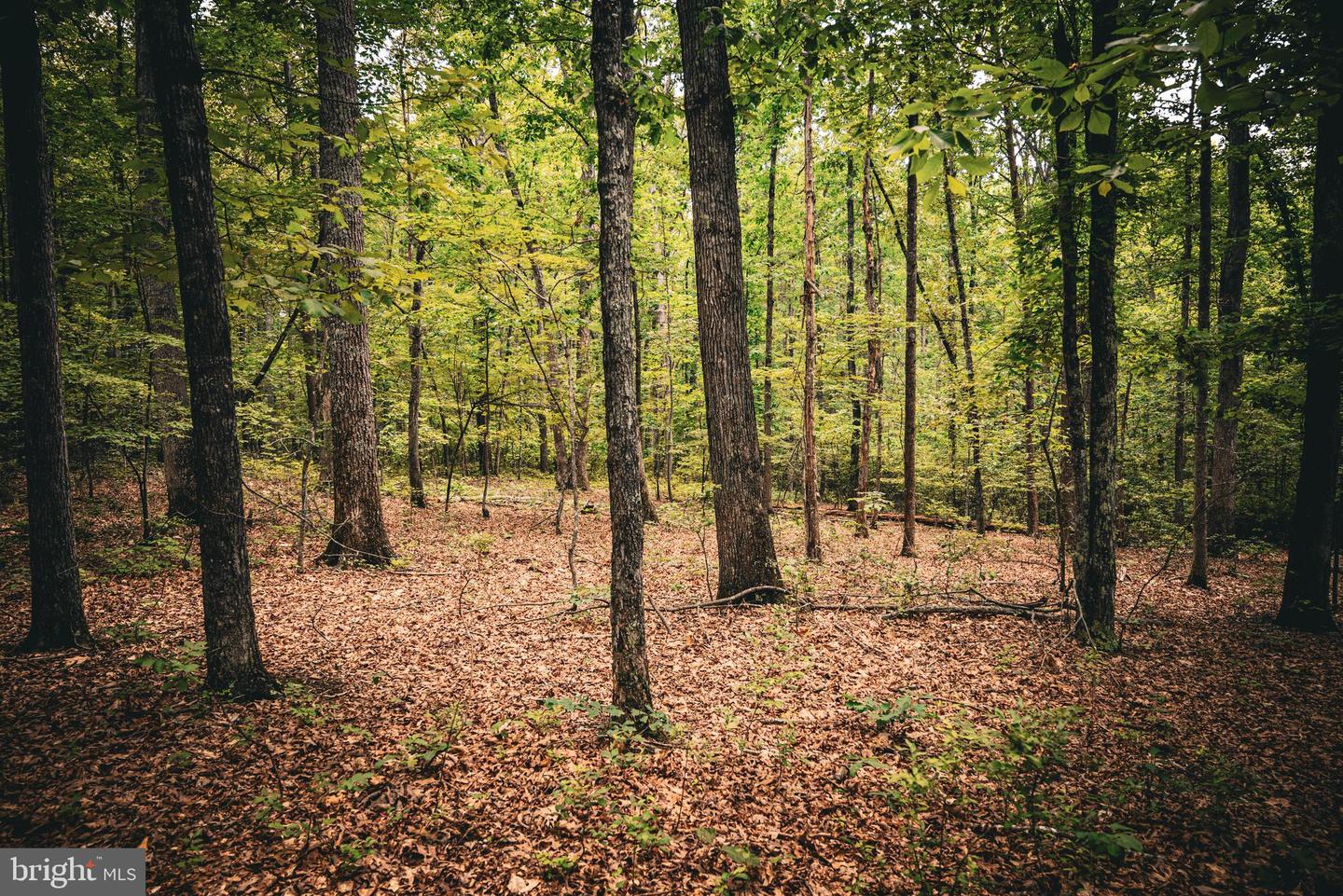 0 LILLARDS FORD RD, MADISON, Virginia 22727, ,Land,For sale,0 LILLARDS FORD RD,VAMA2002294 MLS # VAMA2002294