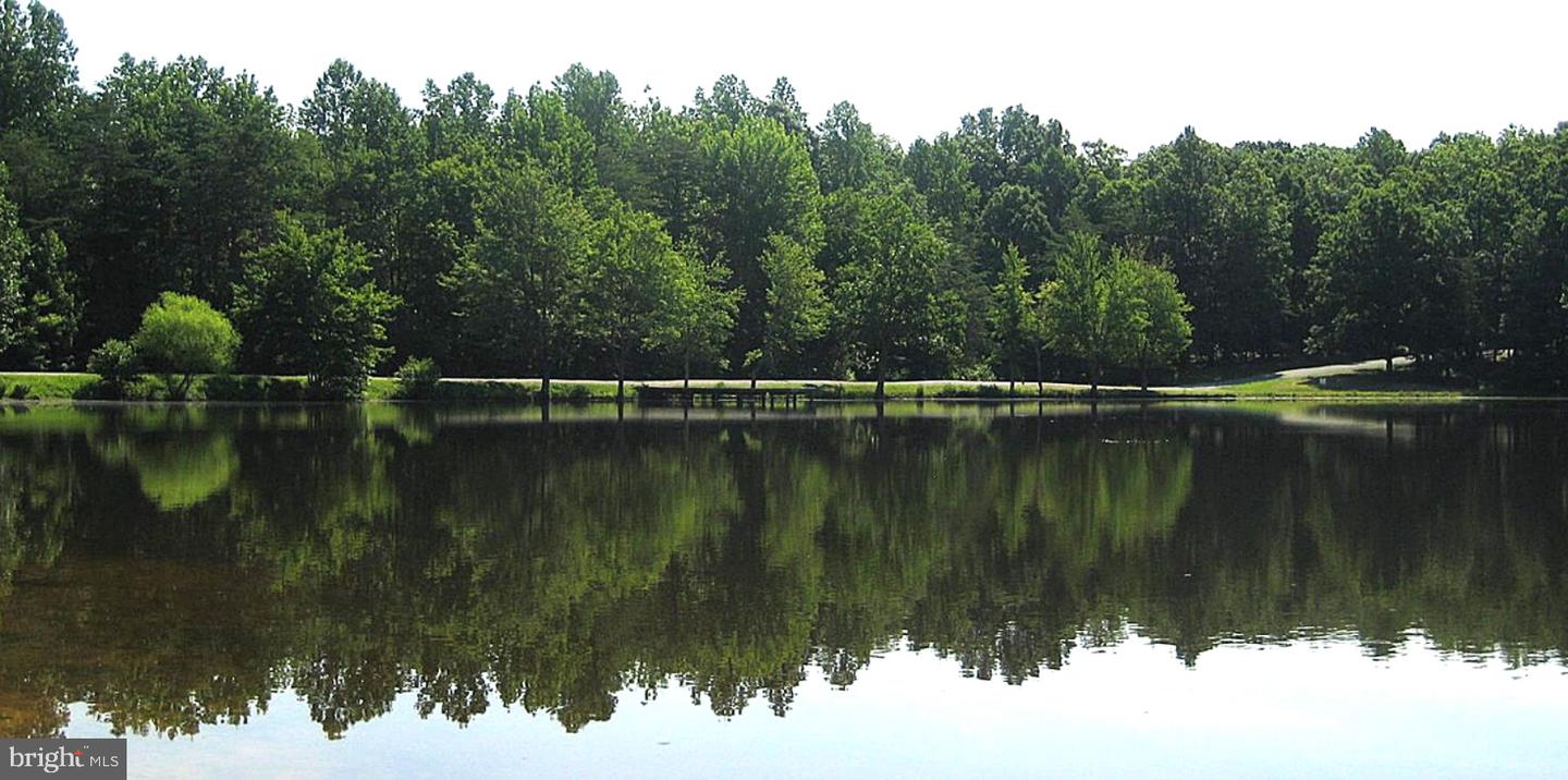 F2 ORCHID LAKE DR, GUM SPRING, Virginia 23065, ,Land,For sale,F2 ORCHID LAKE DR,VALA2008036 MLS # VALA2008036