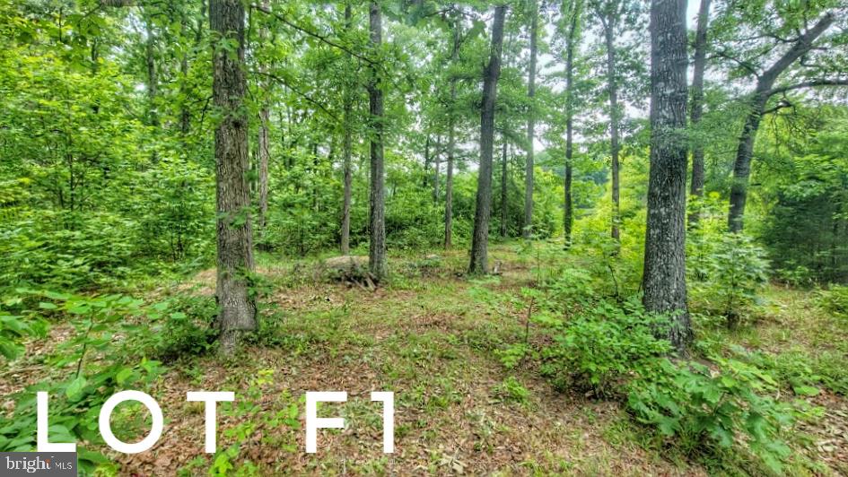 F2 ORCHID LAKE DR, GUM SPRING, Virginia 23065, ,Land,For sale,F2 ORCHID LAKE DR,VALA2008036 MLS # VALA2008036