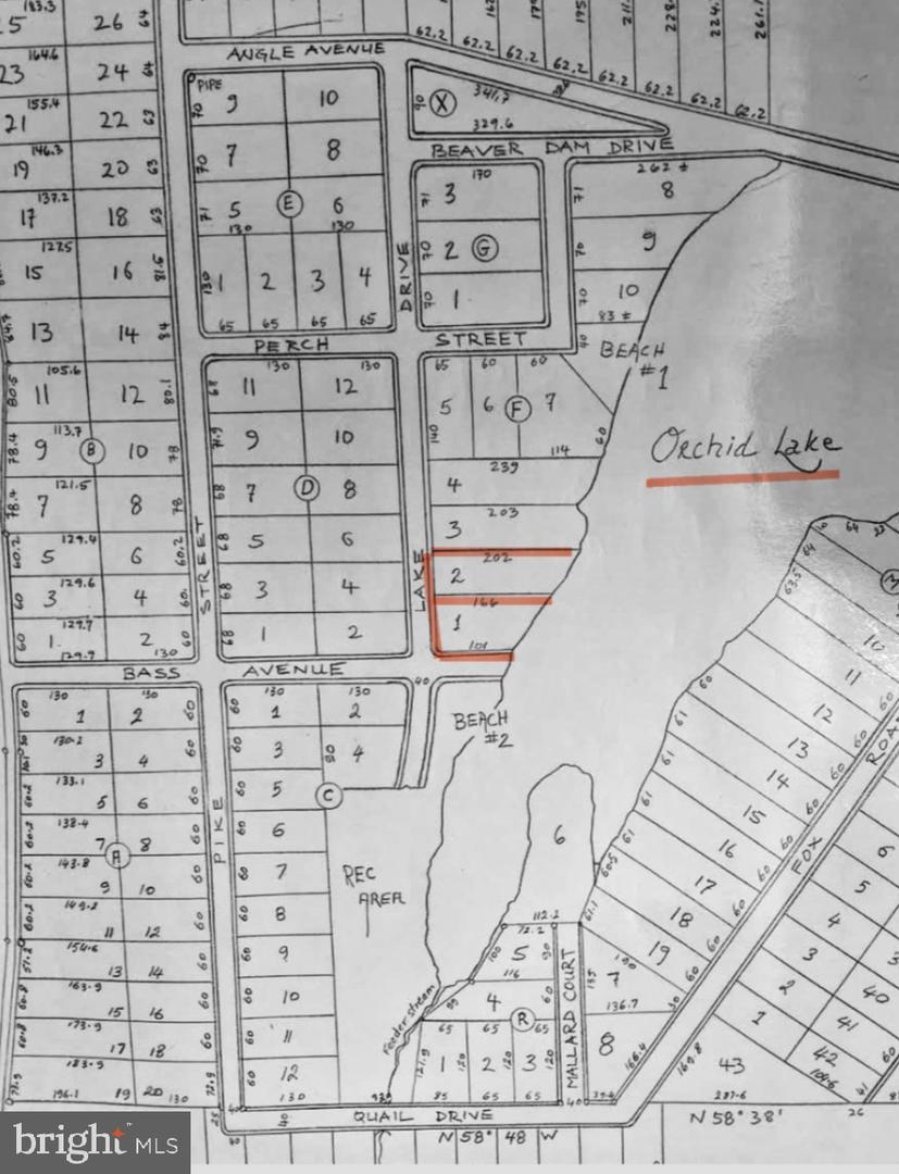 F1 ORCHID LAKE DR, GUM SPRING, Virginia 23065, ,Land,For sale,F1 ORCHID LAKE DR,VALA2008038 MLS # VALA2008038