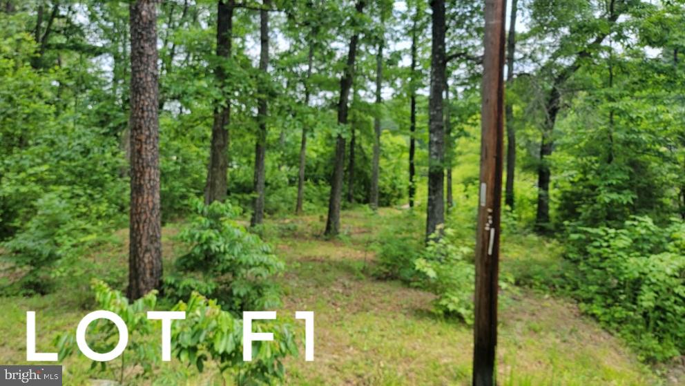 F1 ORCHID LAKE DR, GUM SPRING, Virginia 23065, ,Land,For sale,F1 ORCHID LAKE DR,VALA2008038 MLS # VALA2008038