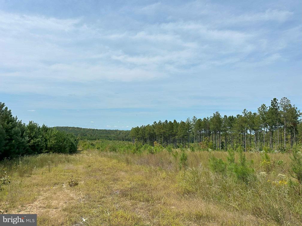RIDGE ROAD AND PENLAN ROAD (TRACT: PENLAND 6 &, ARVONIA, Virginia 23004, ,Land,For sale,RIDGE ROAD AND PENLAN ROAD (TRACT: PENLAND 6 &,VABH2000182 MLS # VABH2000182