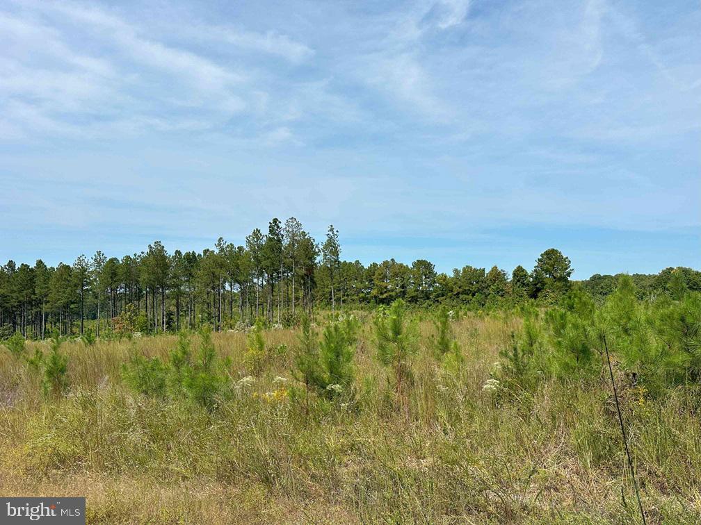 RIDGE ROAD AND PENLAN ROAD (TRACT: PENLAND 6 &, ARVONIA, Virginia 23004, ,Land,For sale,RIDGE ROAD AND PENLAN ROAD (TRACT: PENLAND 6 &,VABH2000182 MLS # VABH2000182