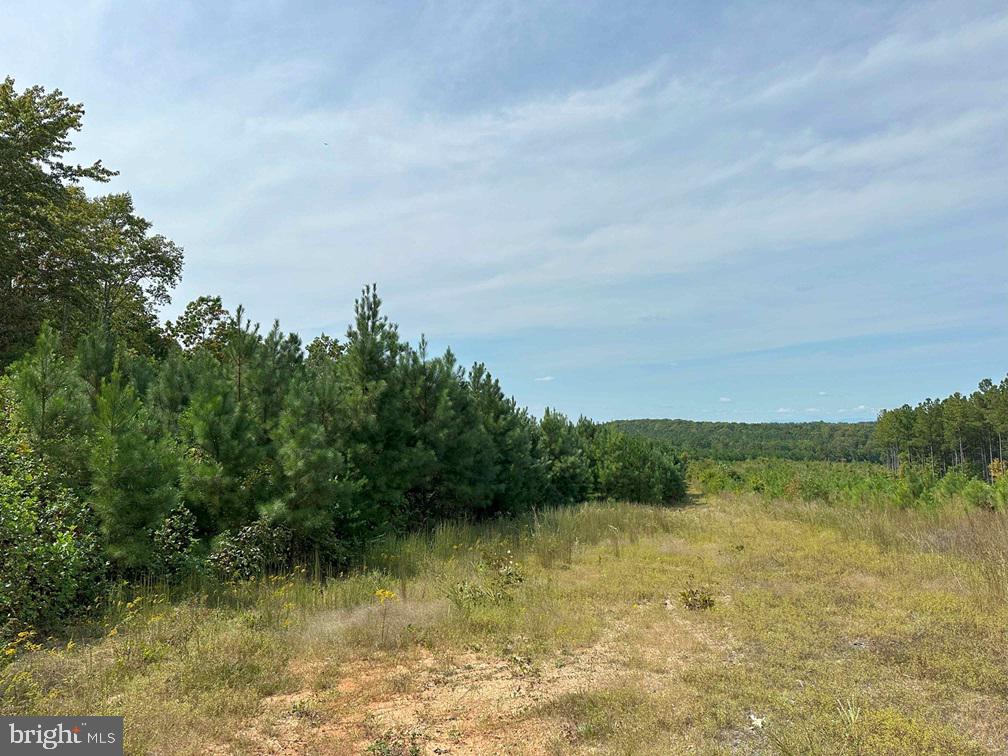 RIDGE ROAD AND PENLAN ROAD (TRACT: PENLAND 6 &, ARVONIA, Virginia 23004, ,Land,For sale,RIDGE ROAD AND PENLAN ROAD (TRACT: PENLAND 6 &,VABH2000182 MLS # VABH2000182
