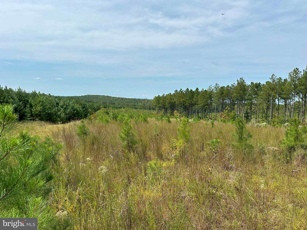 RIDGE ROAD AND PENLAN ROAD (TRACT: PENLAND 6 &, ARVONIA, Virginia 23004, ,Land,For sale,RIDGE ROAD AND PENLAN ROAD (TRACT: PENLAND 6 &,VABH2000182 MLS # VABH2000182