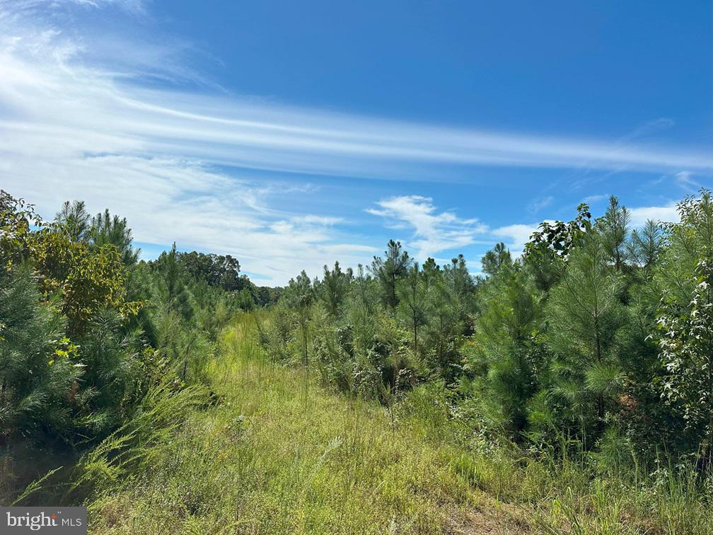 ROSE MT ROAD (RT 635) (TRACT: ROSE MOUNT-3), HUSTLE, Virginia 22476, ,Farm,For sale,ROSE MT ROAD (RT 635) (TRACT: ROSE MOUNT-3),VAES2000904 MLS # VAES2000904