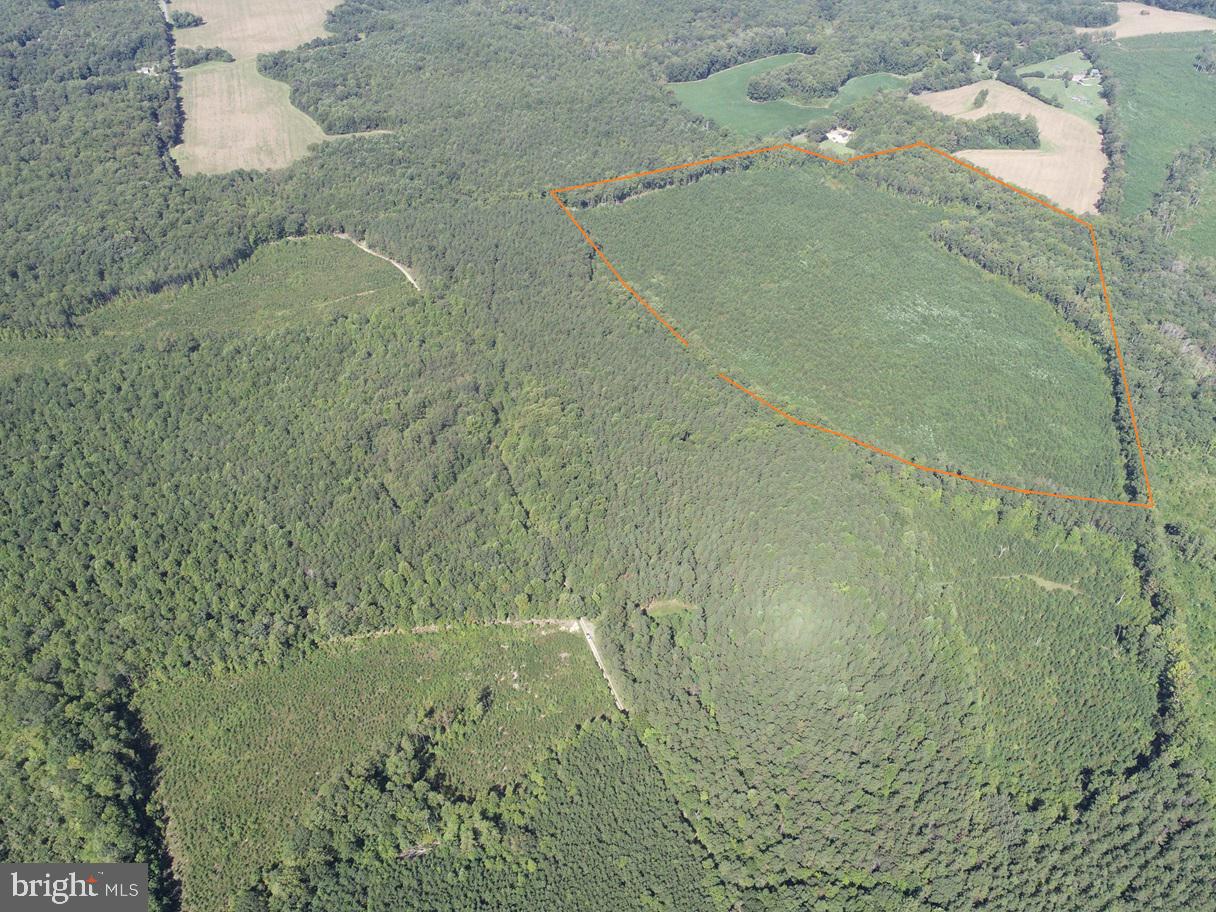 ROSE MT ROAD (RT 635) (TRACT: ROSE MOUNT-3), HUSTLE, Virginia 22476, ,Farm,For sale,ROSE MT ROAD (RT 635) (TRACT: ROSE MOUNT-3),VAES2000904 MLS # VAES2000904