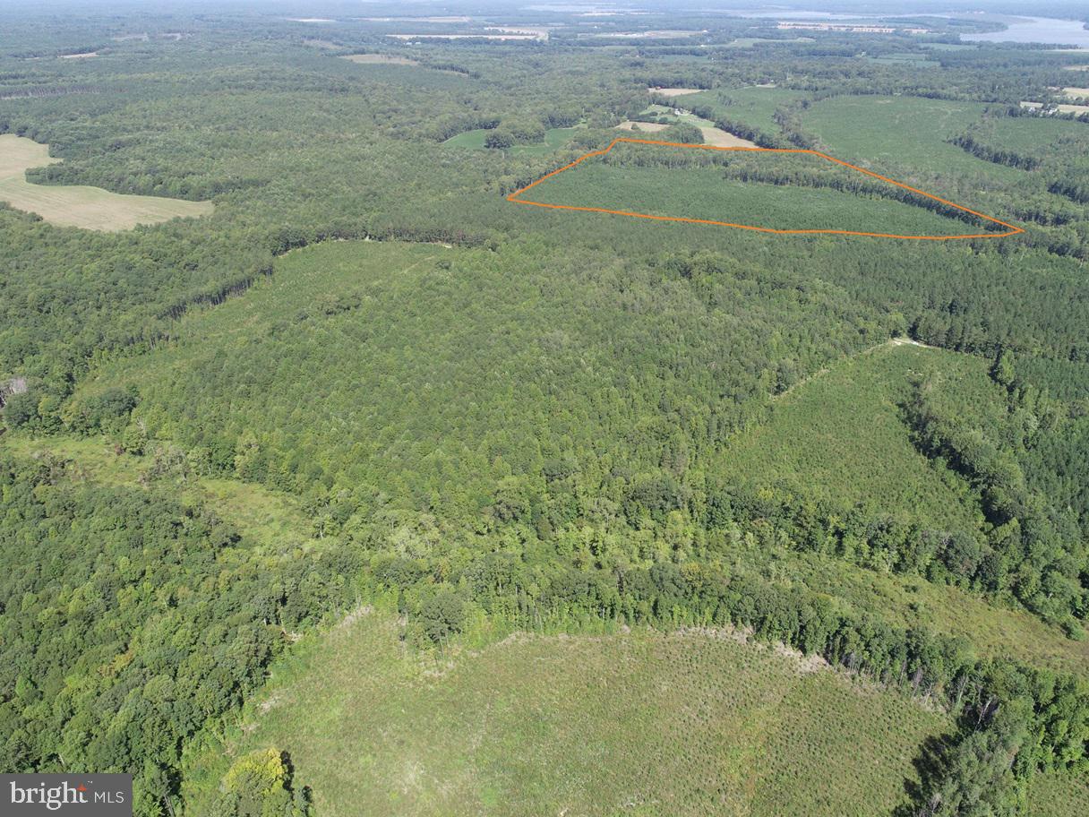 ROSE MT ROAD (RT 635) (TRACT: ROSE MOUNT-3), HUSTLE, Virginia 22476, ,Farm,For sale,ROSE MT ROAD (RT 635) (TRACT: ROSE MOUNT-3),VAES2000904 MLS # VAES2000904