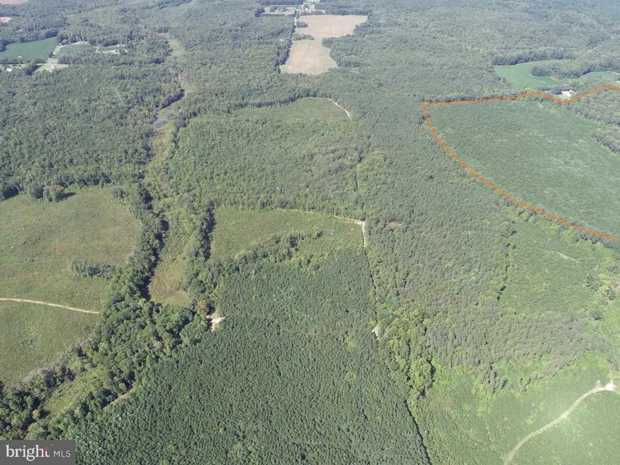 ROSE MT ROAD (RT 635) (TRACT: ROSE MOUNT-3), HUSTLE, Virginia 22476, ,Farm,For sale,ROSE MT ROAD (RT 635) (TRACT: ROSE MOUNT-3),VAES2000904 MLS # VAES2000904