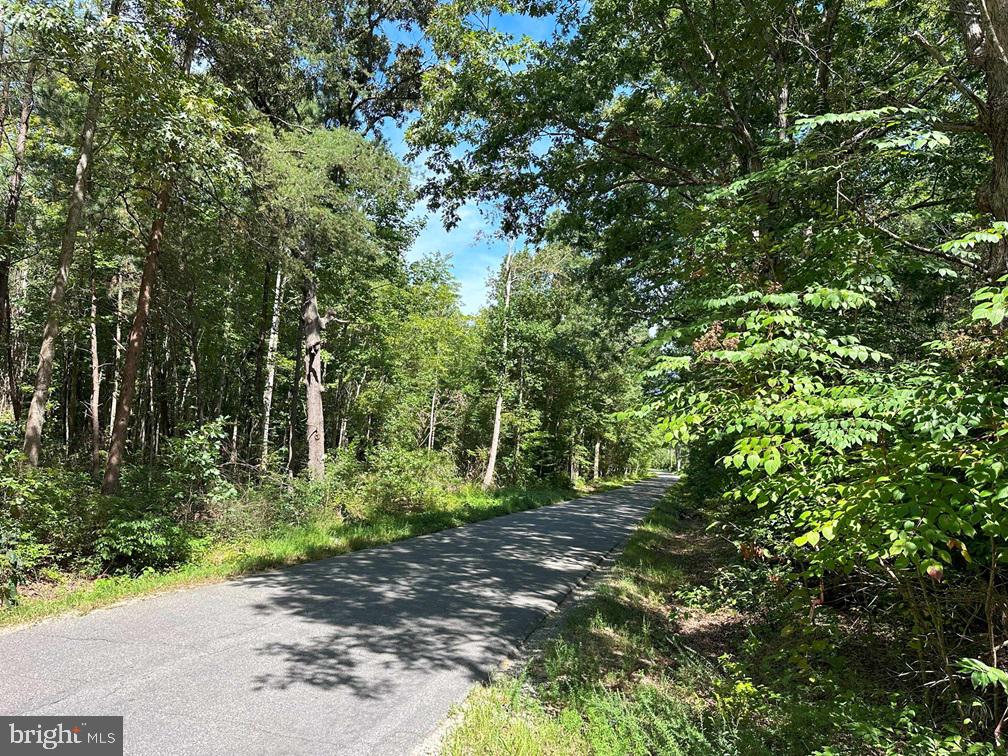 ROSE MT ROAD (RT 635) (TRACT: ROSE MOUNT-3), HUSTLE, Virginia 22476, ,Farm,For sale,ROSE MT ROAD (RT 635) (TRACT: ROSE MOUNT-3),VAES2000904 MLS # VAES2000904
