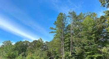 ROSE MT ROAD (RT 635) (TRACT: ROSE MOUNT-3), HUSTLE, Virginia 22476, ,Farm,For sale,ROSE MT ROAD (RT 635) (TRACT: ROSE MOUNT-3),VAES2000904 MLS # VAES2000904