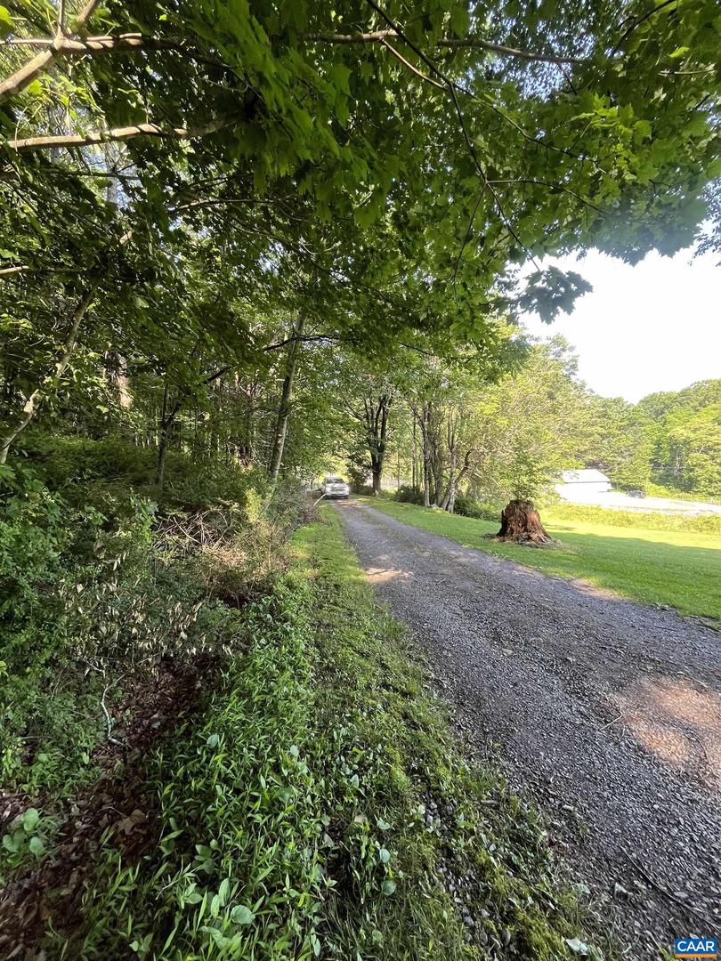 TBD FISH HATCHERY LN, MONTEBELLO, Virginia 24464, ,Land,For sale,TBD FISH HATCHERY LN,665731 MLS # 665731