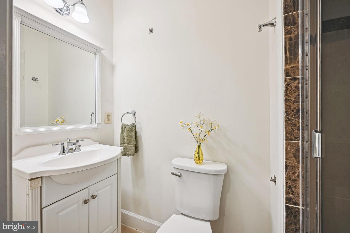 206 D ST SE, WASHINGTON, District Of Columbia 20003, 5 Bedrooms Bedrooms, ,4 BathroomsBathrooms,Residential,For sale,206 D ST SE,DCDC2153960 MLS # DCDC2153960