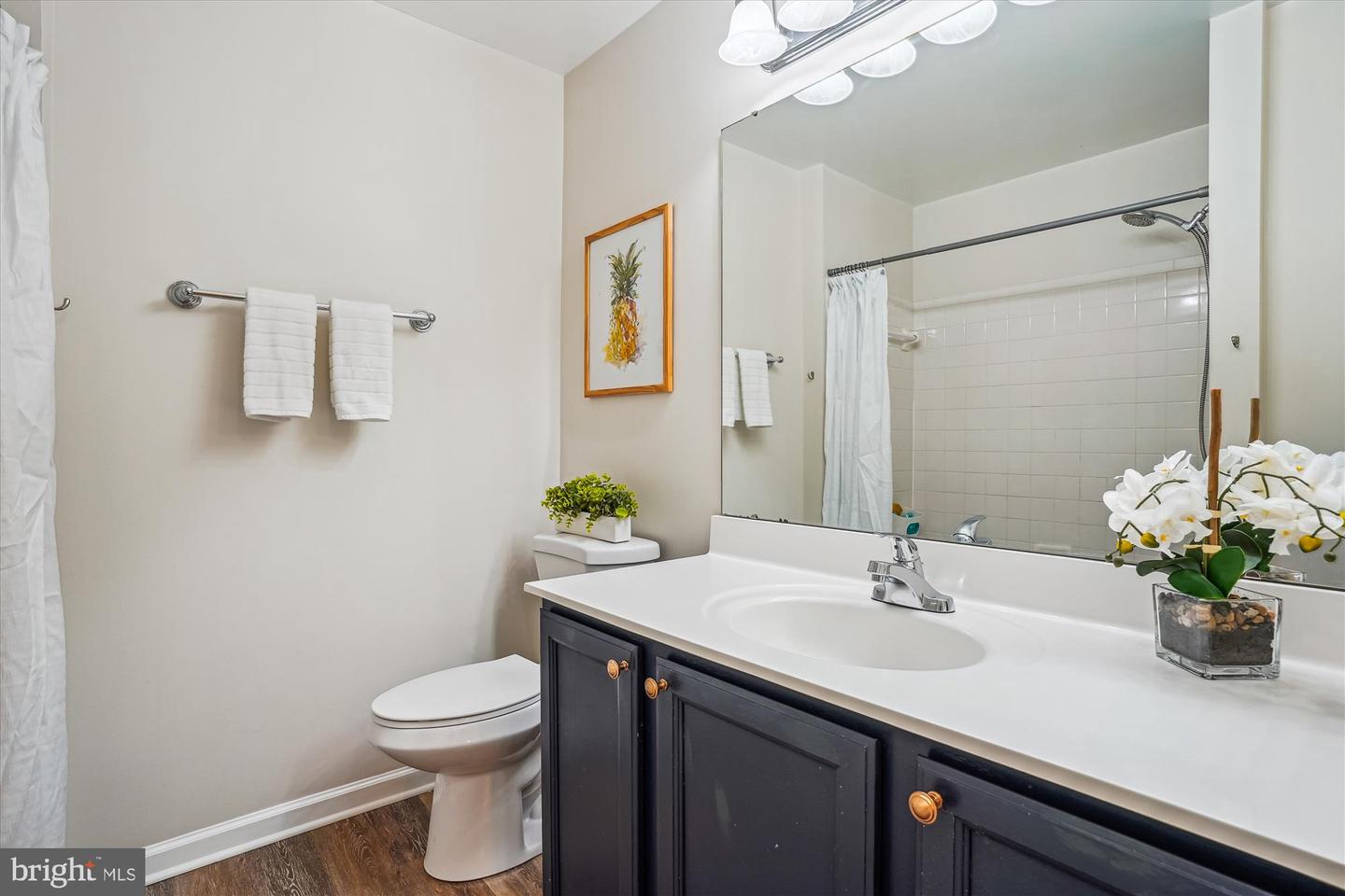 7484 GADSBY SQ, ALEXANDRIA, Virginia 22315, 3 Bedrooms Bedrooms, ,2 BathroomsBathrooms,Residential,For sale,7484 GADSBY SQ,VAFX2245614 MLS # VAFX2245614