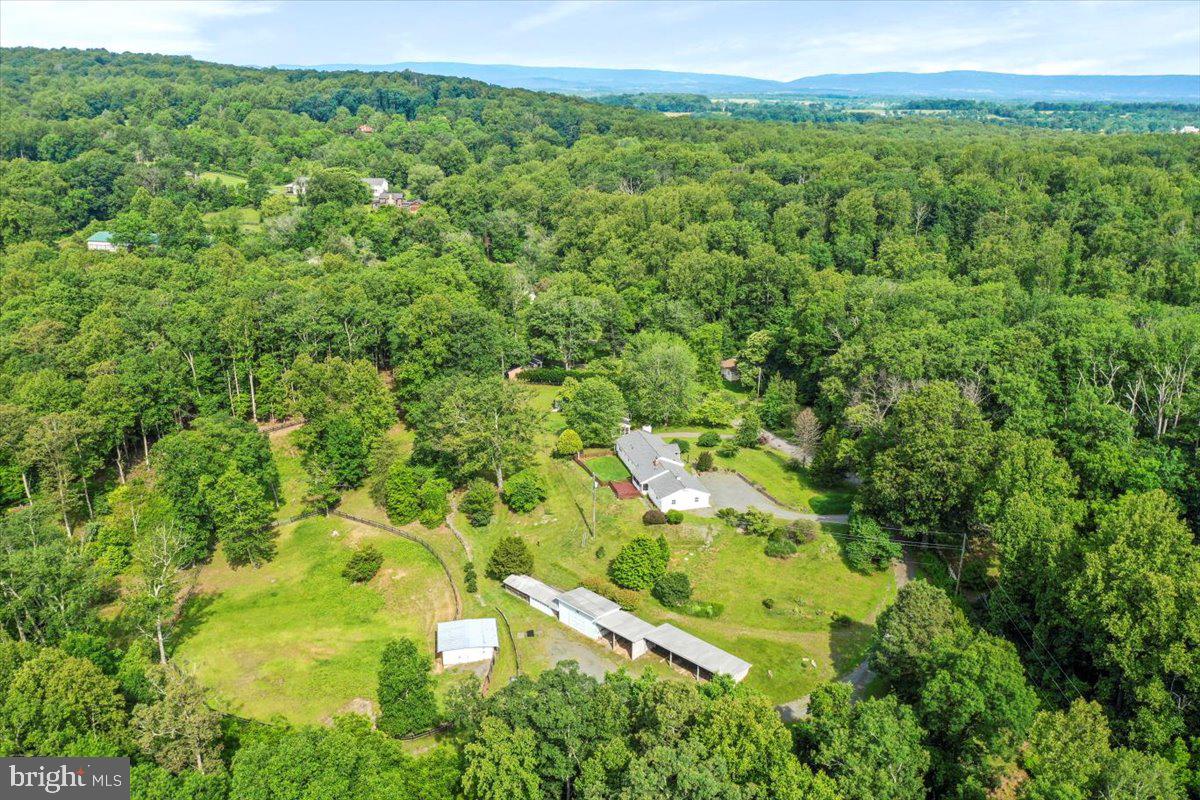 6025 COON TREE RD, THE PLAINS, Virginia 20198, 3 Bedrooms Bedrooms, 7 Rooms Rooms,2 BathroomsBathrooms,Residential,For sale,6025 COON TREE RD,VAFQ2016950 MLS # VAFQ2016950