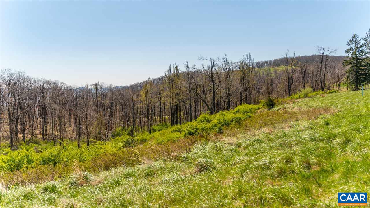 LOT 16 HOWARDSVILLE TPKE, AFTON, Virginia 22920, ,Land,For sale,LOT 16 HOWARDSVILLE TPKE,635934 MLS # 635934