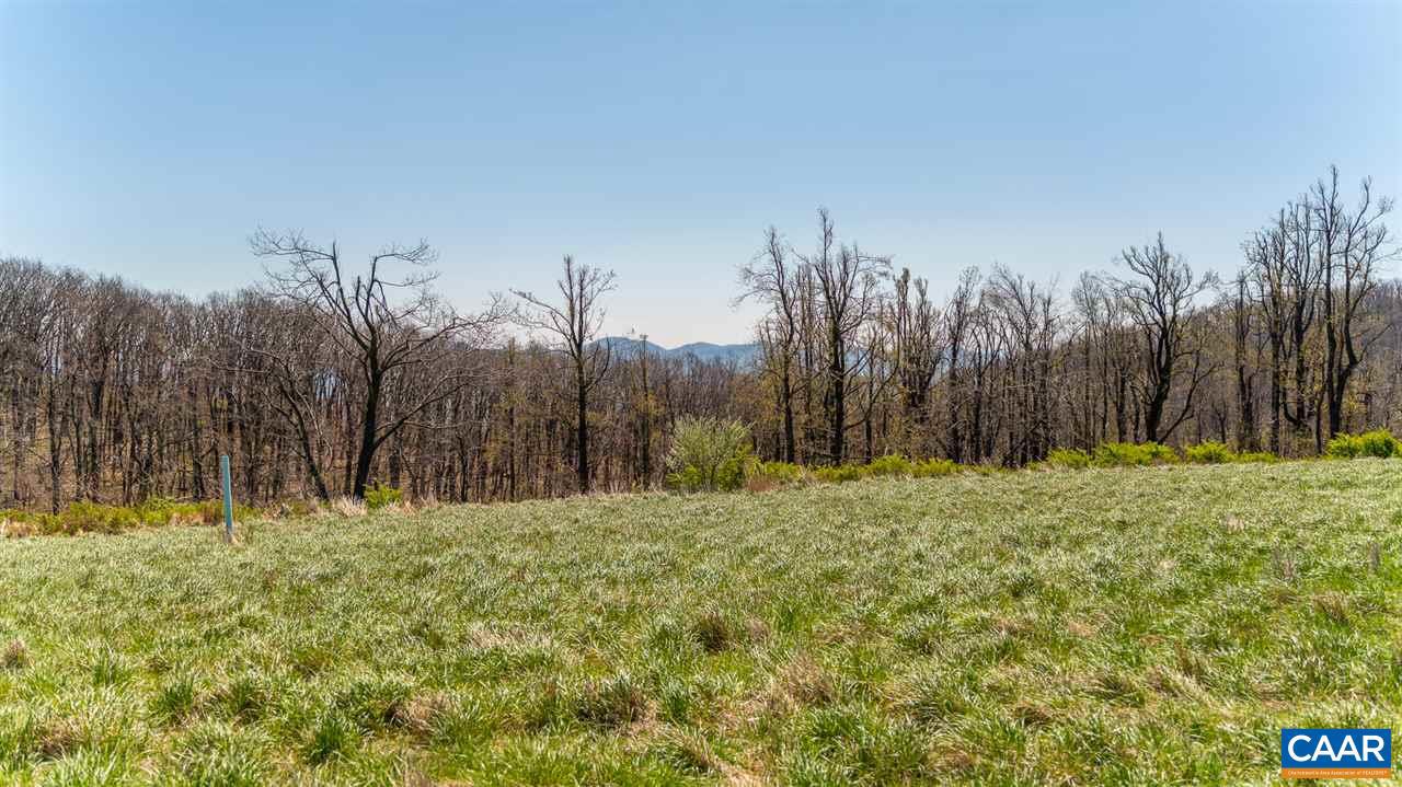 LOT 16 HOWARDSVILLE TPKE, AFTON, Virginia 22920, ,Land,For sale,LOT 16 HOWARDSVILLE TPKE,635934 MLS # 635934