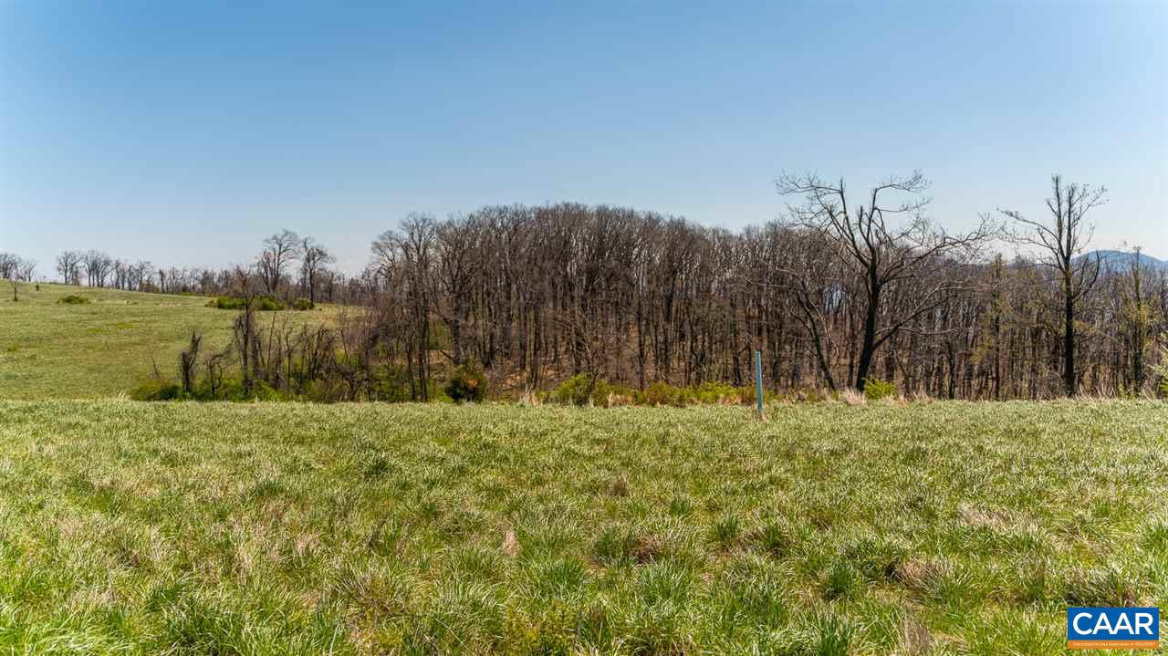 LOT 16 HOWARDSVILLE TPKE, AFTON, Virginia 22920, ,Land,For sale,LOT 16 HOWARDSVILLE TPKE,635934 MLS # 635934