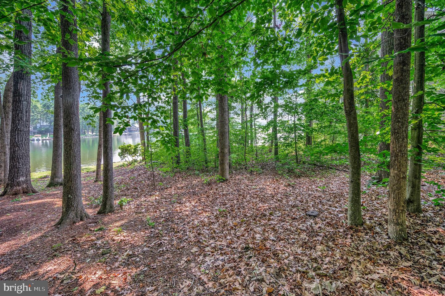 121 HILLSIDE DR, LOCUST GROVE, Virginia 22508, ,Land,For sale,121 HILLSIDE DR,VAOR2009938 MLS # VAOR2009938