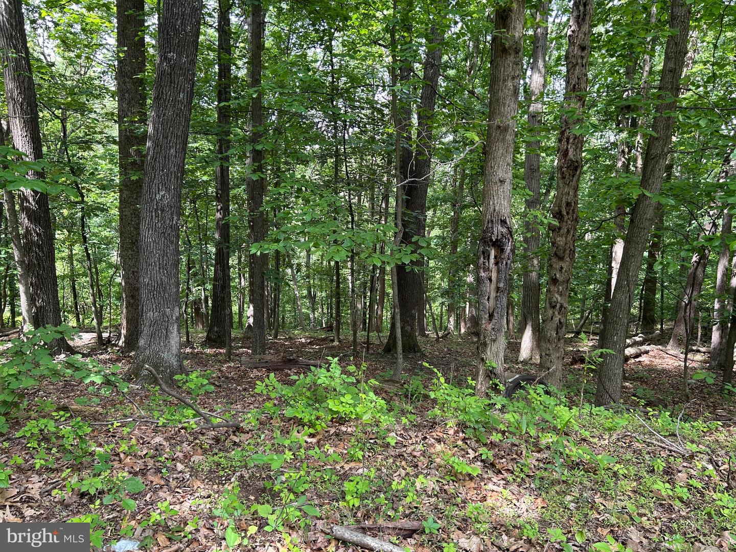 0 EHLERS DR, FRONT ROYAL, Virginia 22630, ,Land,For sale,0 EHLERS DR,VAWR2011472 MLS # VAWR2011472