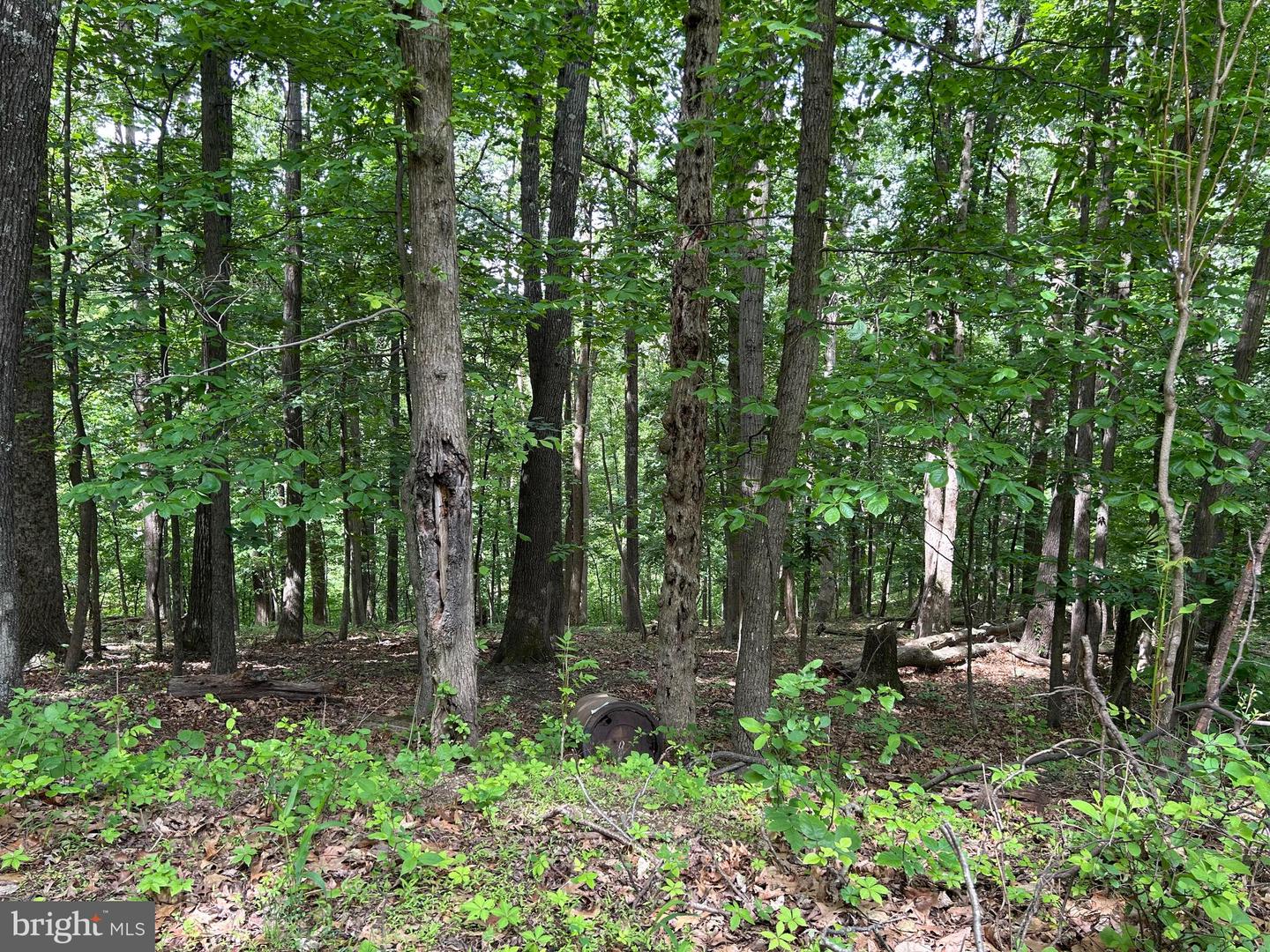 0 EHLERS DR, FRONT ROYAL, Virginia 22630, ,Land,For sale,0 EHLERS DR,VAWR2011472 MLS # VAWR2011472