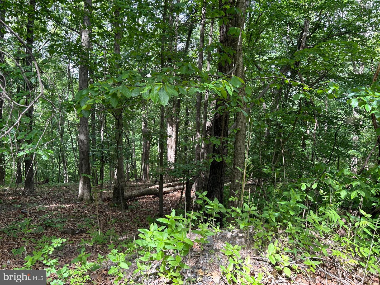 0 EHLERS DR, FRONT ROYAL, Virginia 22630, ,Land,For sale,0 EHLERS DR,VAWR2011472 MLS # VAWR2011472