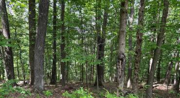 0 EHLERS DR, FRONT ROYAL, Virginia 22630, ,Land,For sale,0 EHLERS DR,VAWR2011472 MLS # VAWR2011472