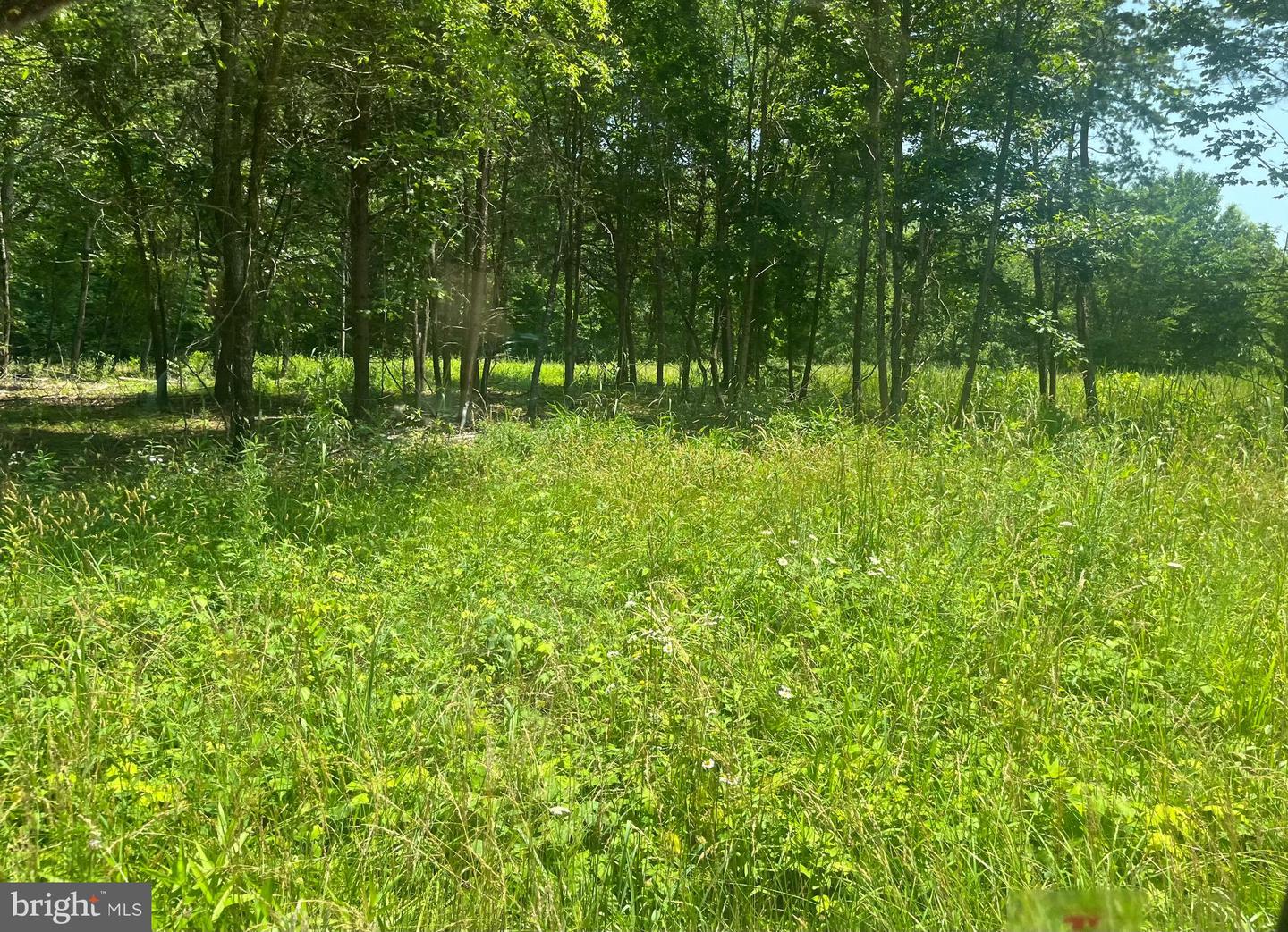LOT 2 KENTUCKY SPRINGS RD, BUMPASS, Virginia 23024, ,Land,For sale,LOT 2 KENTUCKY SPRINGS RD,VALA2008042 MLS # VALA2008042